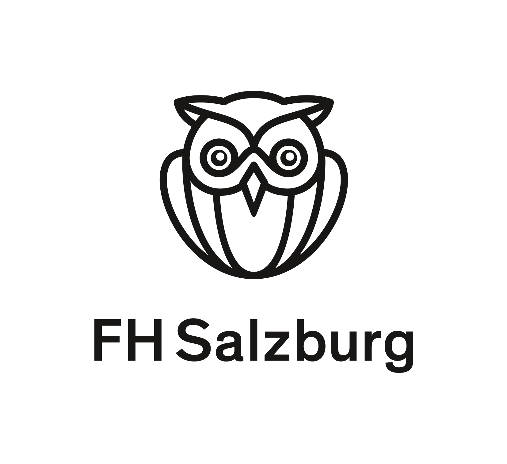 fh salzburg university of applied sciences